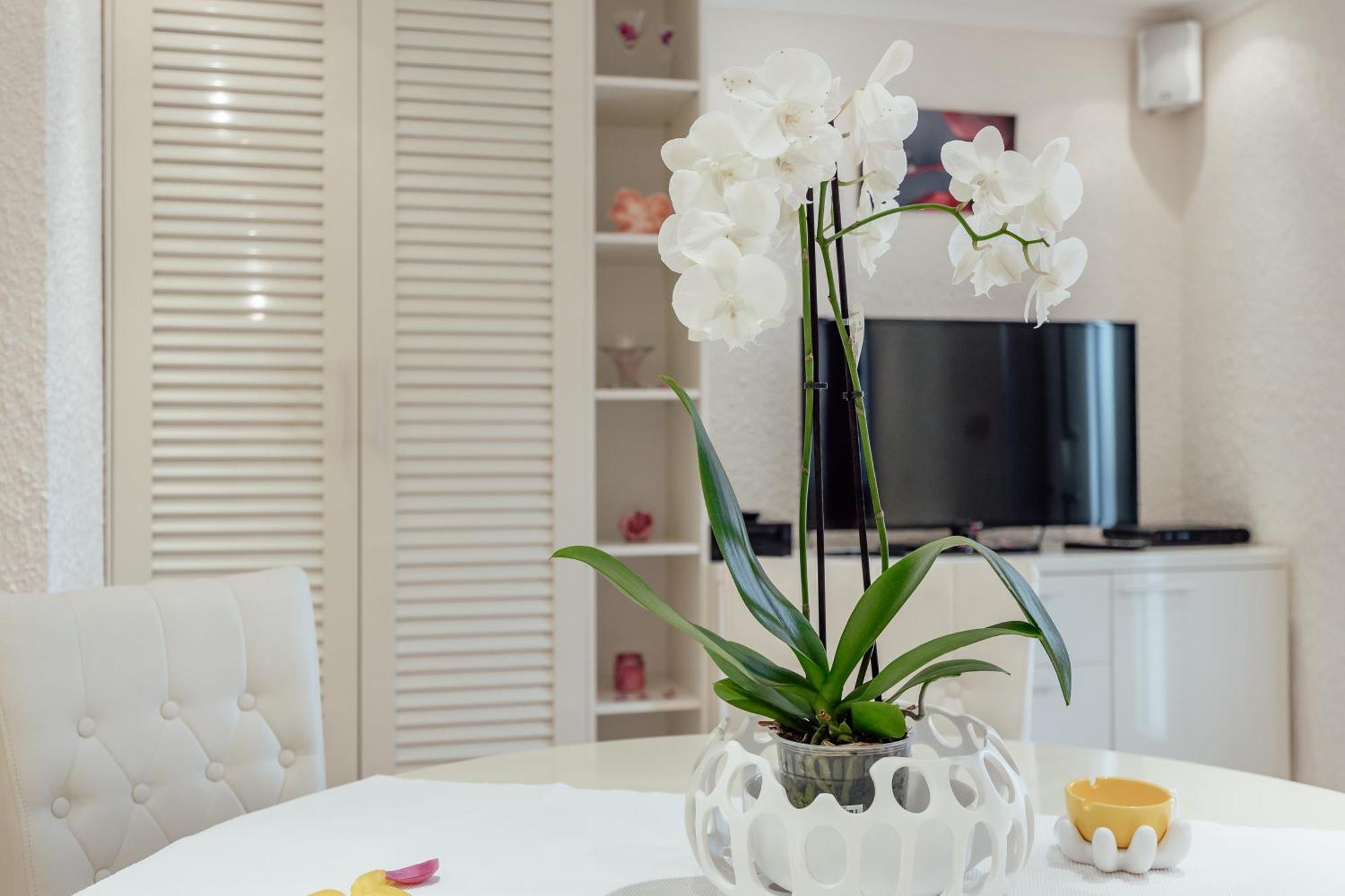 Apartments Porobic Herceg Novi Dış mekan fotoğraf